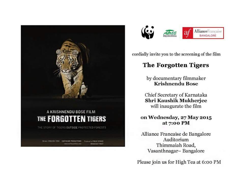 Forgotten-tigers