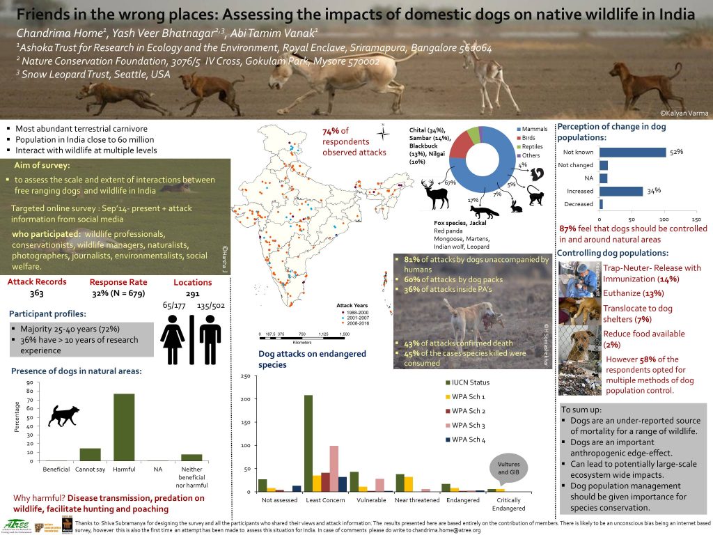 Assessing the Impacts of Domestic Dogs on Wildlife in India