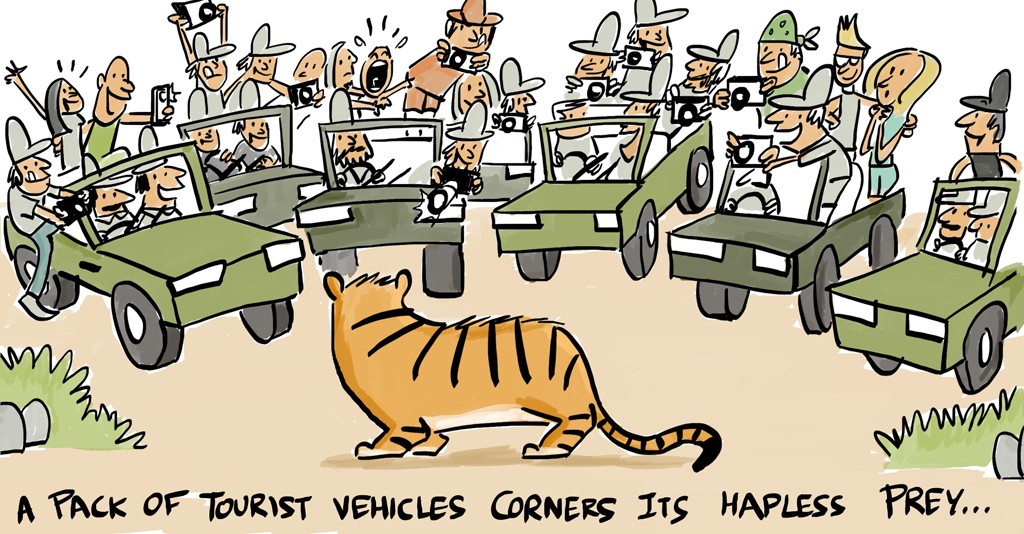 tiger tourism-hapless
