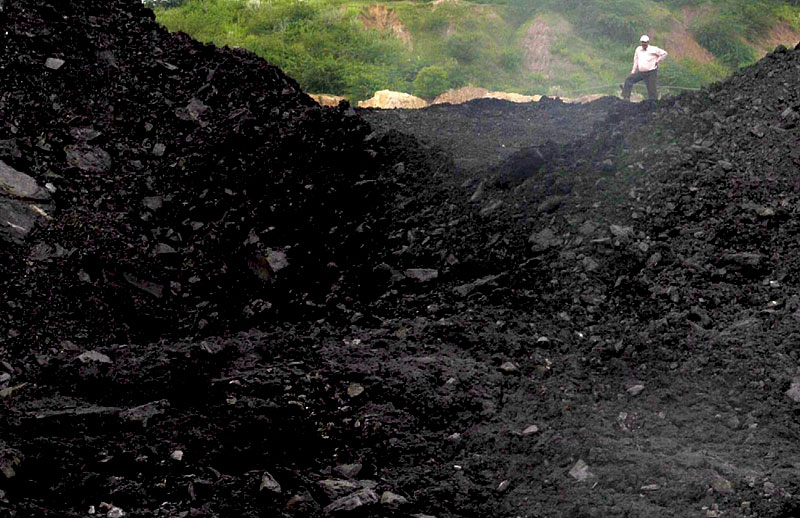 Coal Mining Destroying Critical Tiger Habitat Around Tadoba Tiger ...