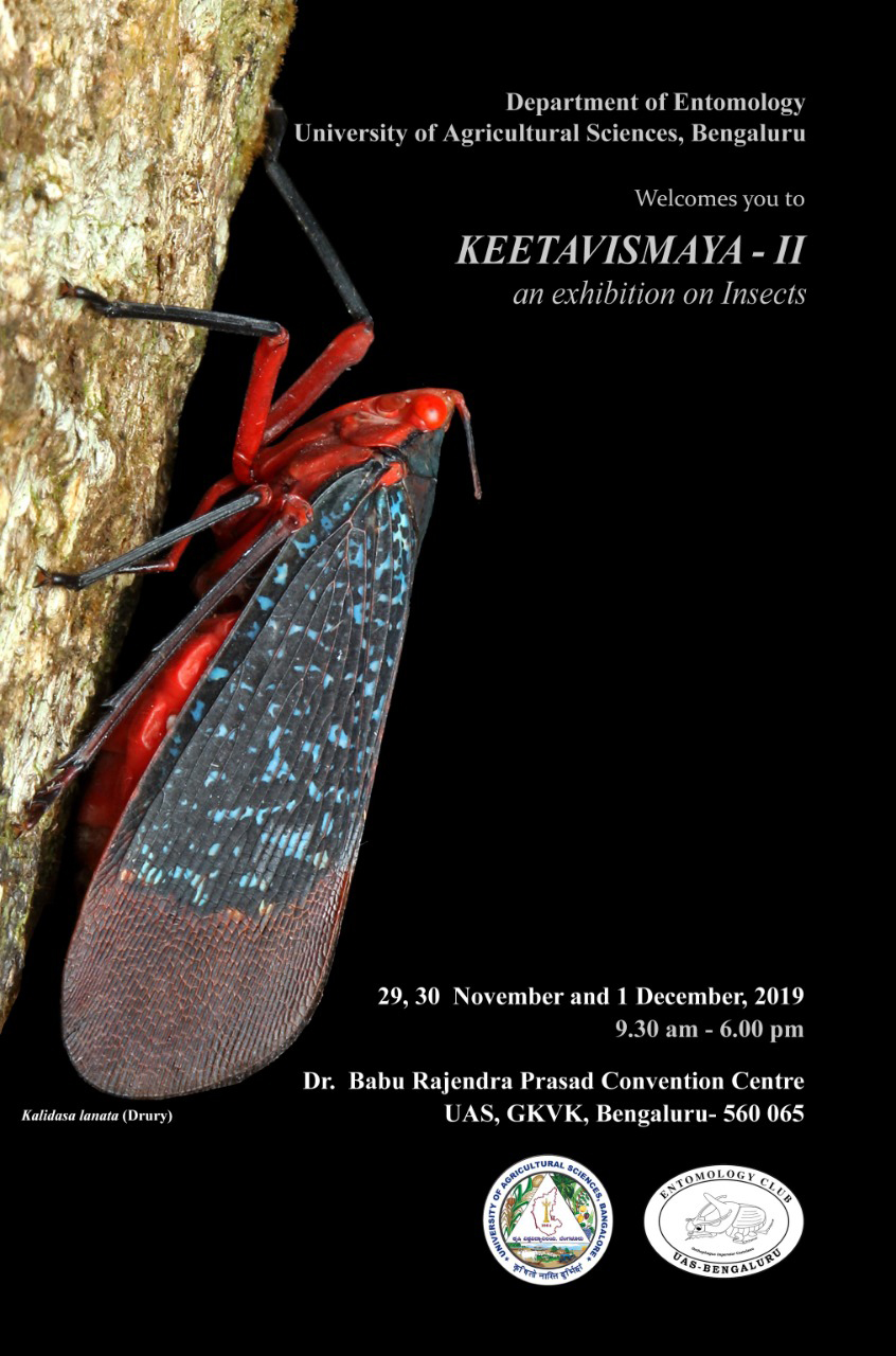 Keetavismaya Ii An Exhibition On Insects Uas Bengaluru Nov 29